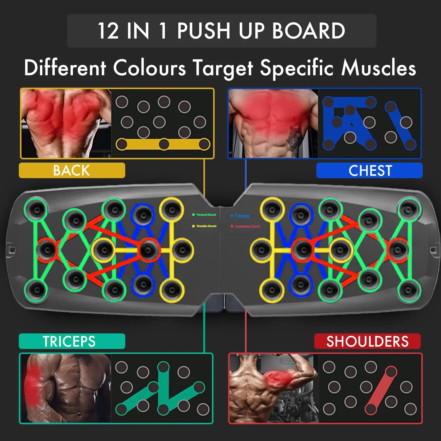 Push-up board set by Fitnessniches featuring colorful design and multiple grip positions for effective workouts.