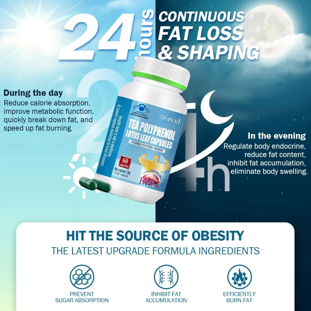 Fitnessniches Belly Fat Burner capsules with a clear label on a white background, showcasing the product packaging.