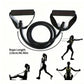 Fitnessniches resistance bands with handles in various colors, showcasing durable material and ergonomic grips.